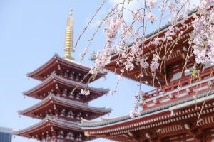 Travel Guide: The Best of Japan