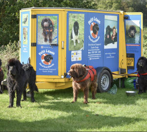 Pete Lewin’s Newfoundlands: A Lifeline in the Water