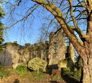 Abbey Park: Leicester’s Green Jewel with a Rich History