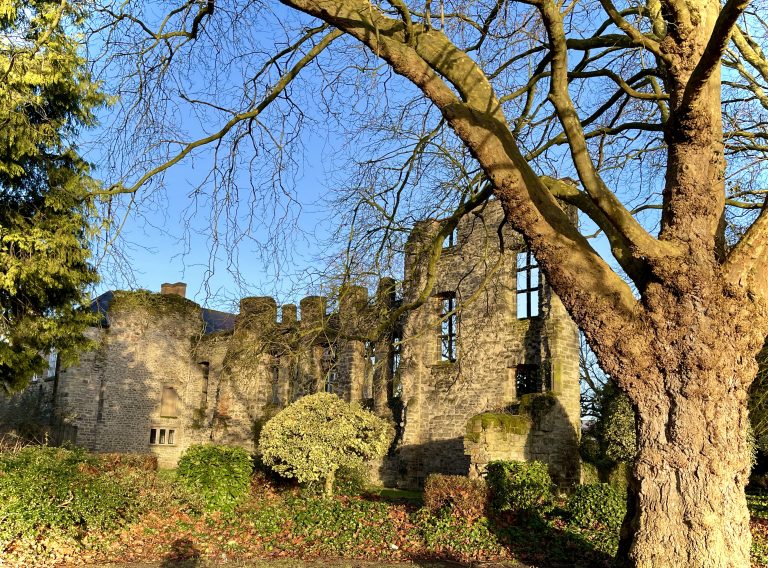 Abbey Park: Leicester’s Green Jewel with a Rich History